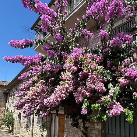 La Bouganville Assisi Exterior foto